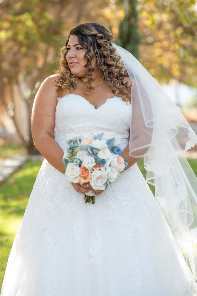 Rebecca S Lace Aline Wedding Dress With Sparkles Strut Bridal Salon